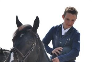 Jonas Vervoort Showjumper